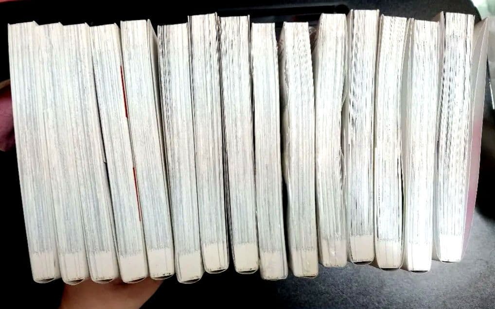 組長娘と世話係 セット 1-15巻