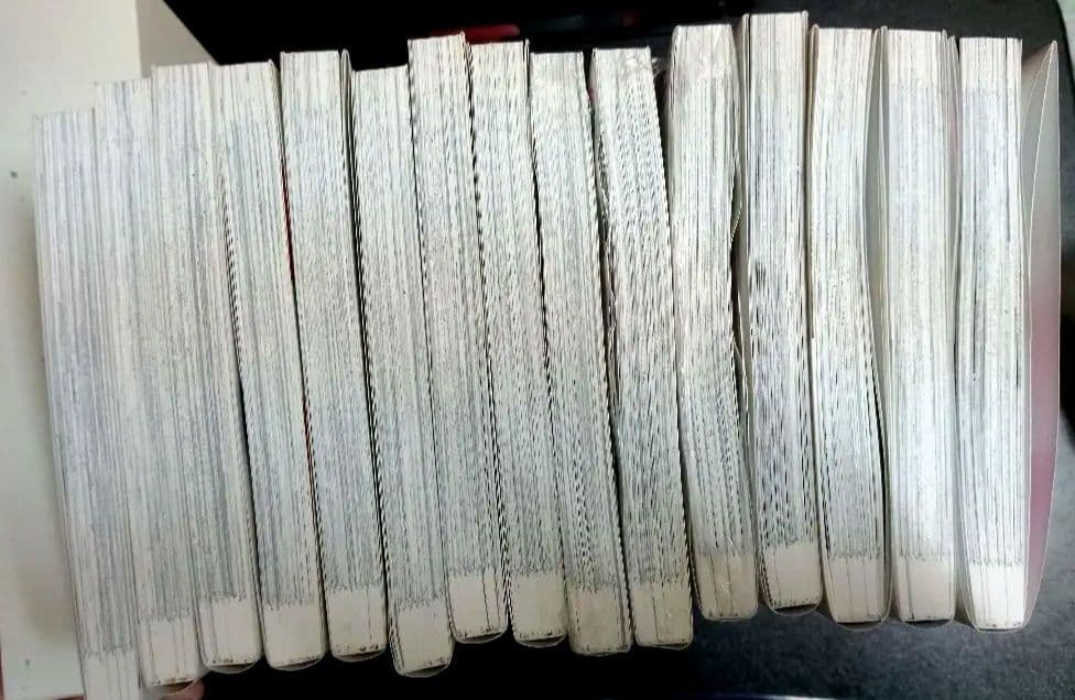 組長娘と世話係 セット 1-15巻