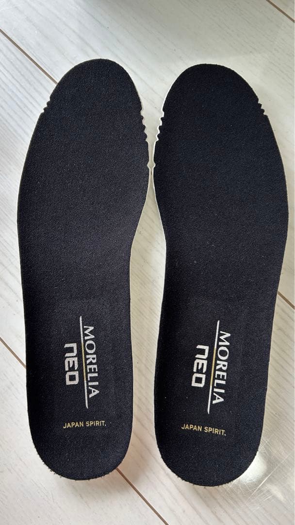 フットサル ミズノ モレリアネオ SALA β JAPAN IN -26.5cm