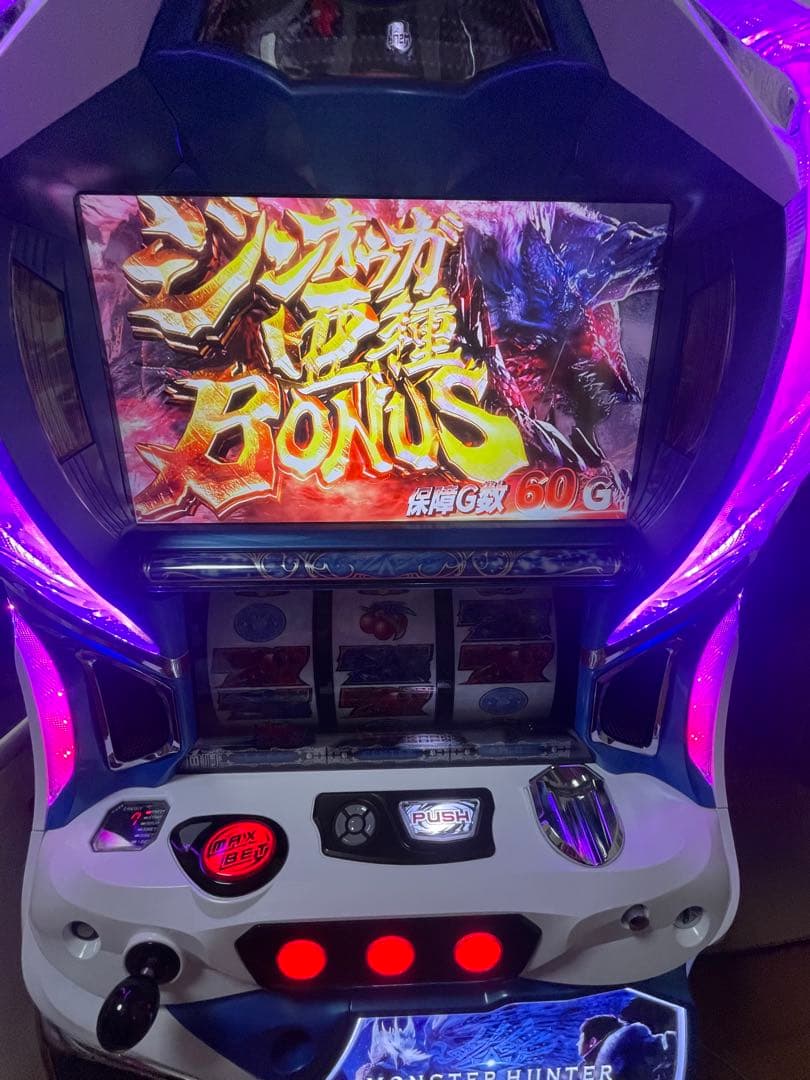 モンスターハンターアイスボーン 実機