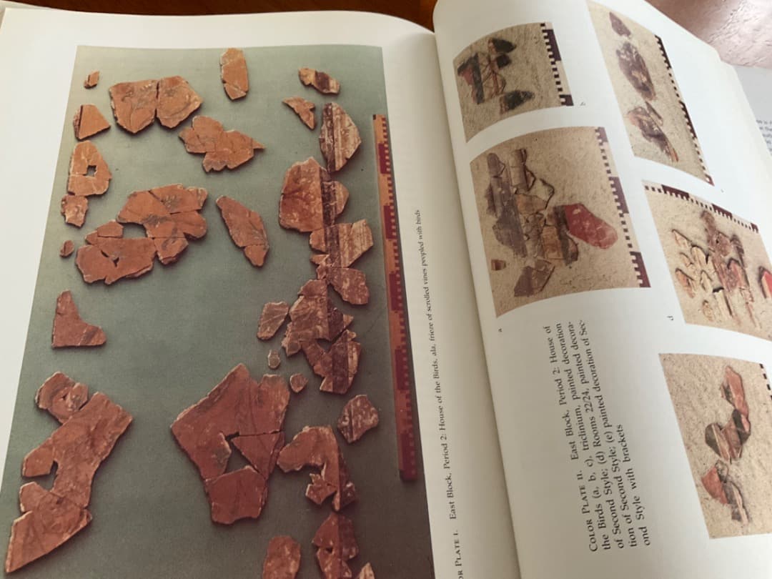 大型本　ローマ時代のCasa 家屋に関する専門書　英文　詳細は説明ご覧ください