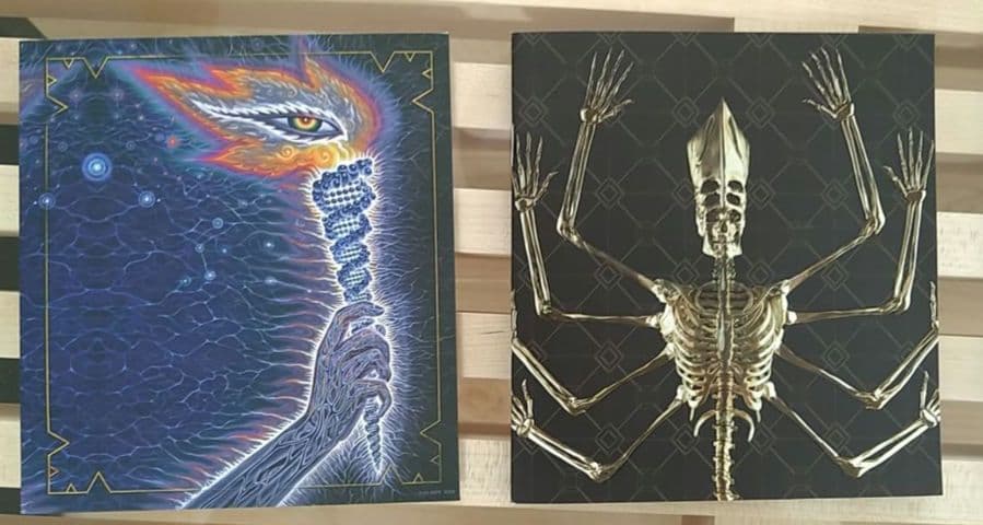 TOOL　Fear Inoculum　初回生産限定盤　HDスクリーン付