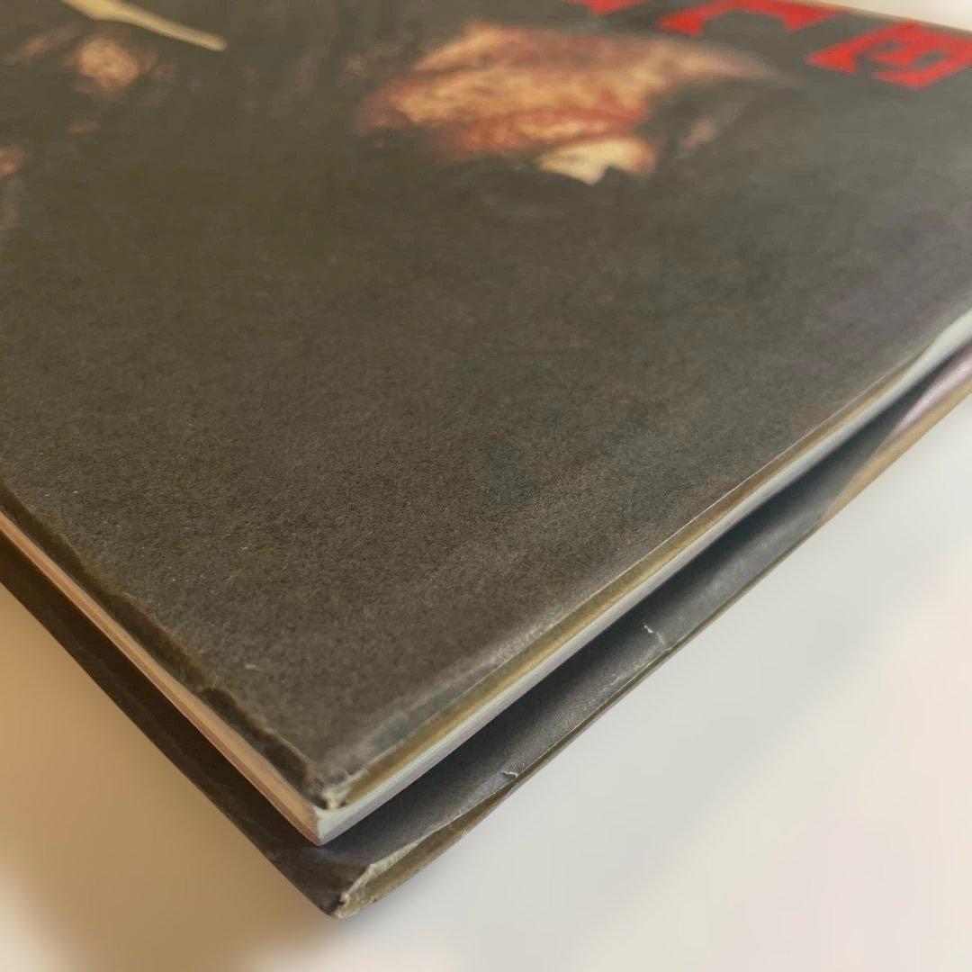 希少 ゴットフリート・ヘルンバイン 伊藤俊治Gottfried Helnwein