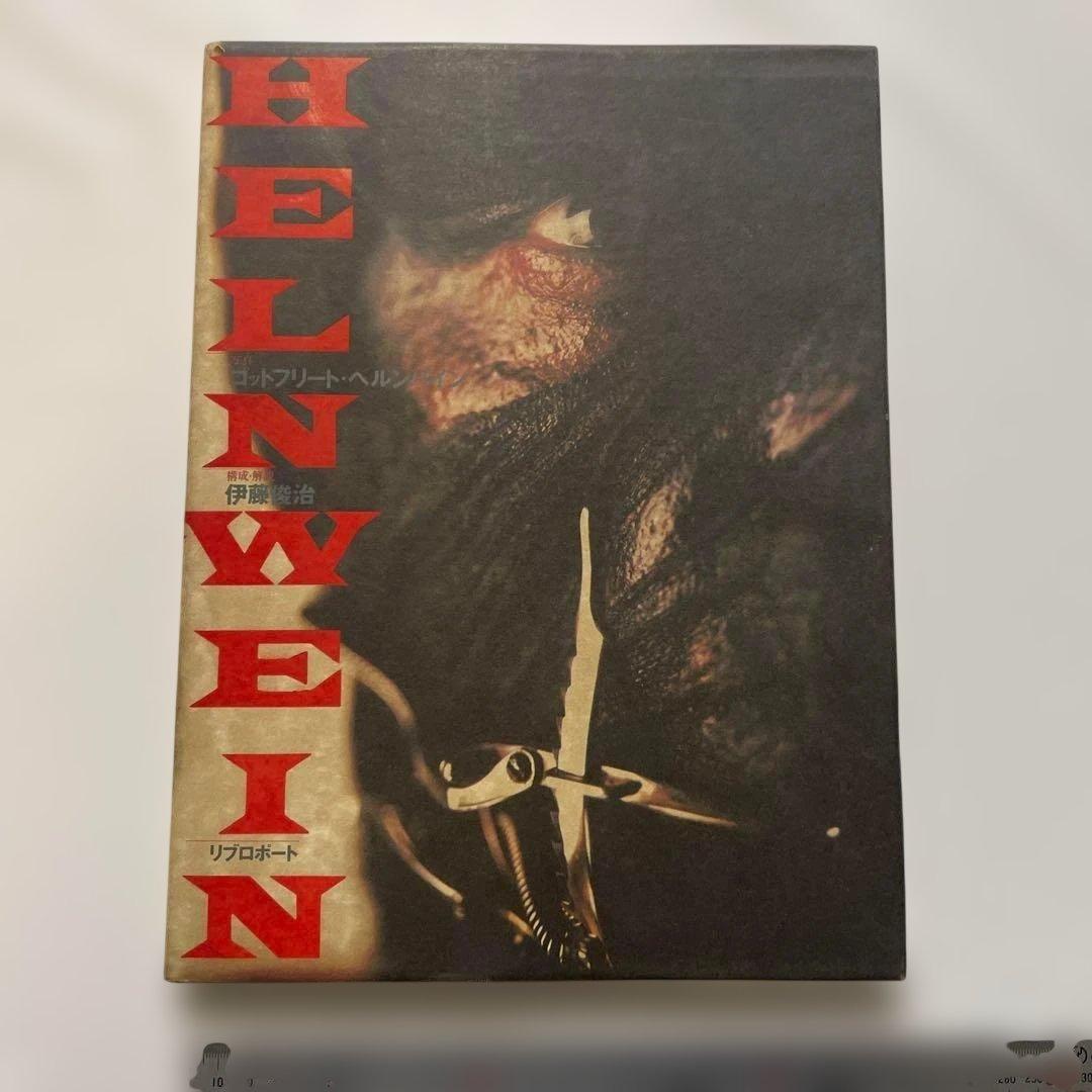 希少 ゴットフリート・ヘルンバイン 伊藤俊治Gottfried Helnwein