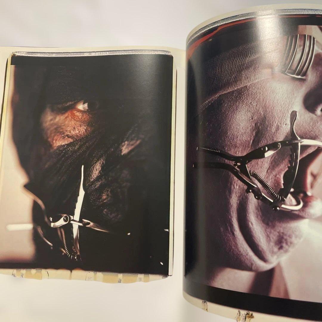 希少 ゴットフリート・ヘルンバイン 伊藤俊治Gottfried Helnwein