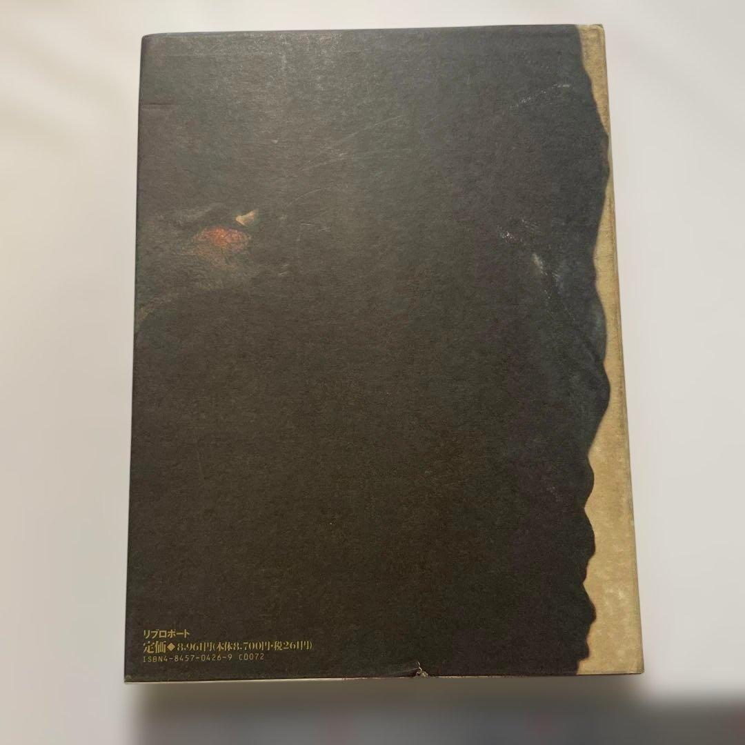 希少 ゴットフリート・ヘルンバイン 伊藤俊治Gottfried Helnwein