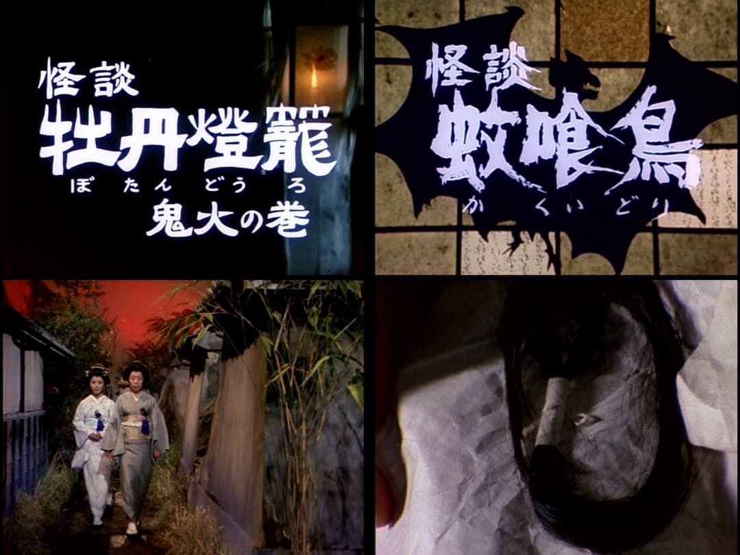 日本　怪談劇場　【情念編】・【怨念編】　全１１作　DVD全１１巻セット