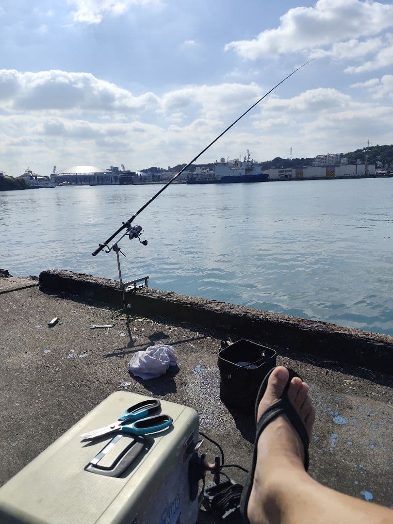 堤防ピトン　石鯛　カゴ釣り