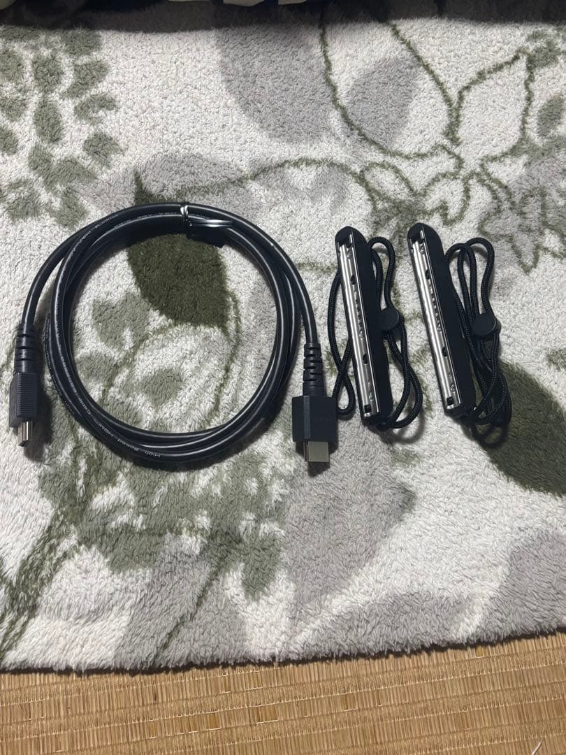 Nintendo Switch 本体とポケモンzaのソフト付き