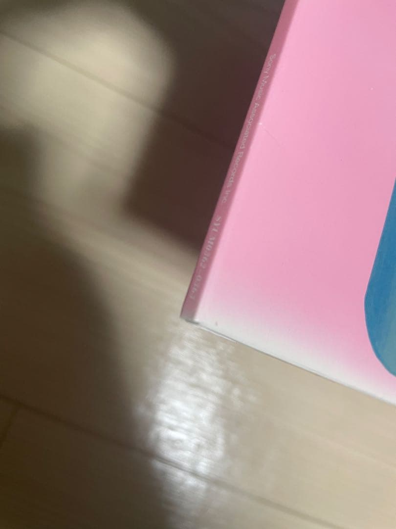 白*之様 ゆらゆら帝国　空洞です LP　アナログ盤　レコード