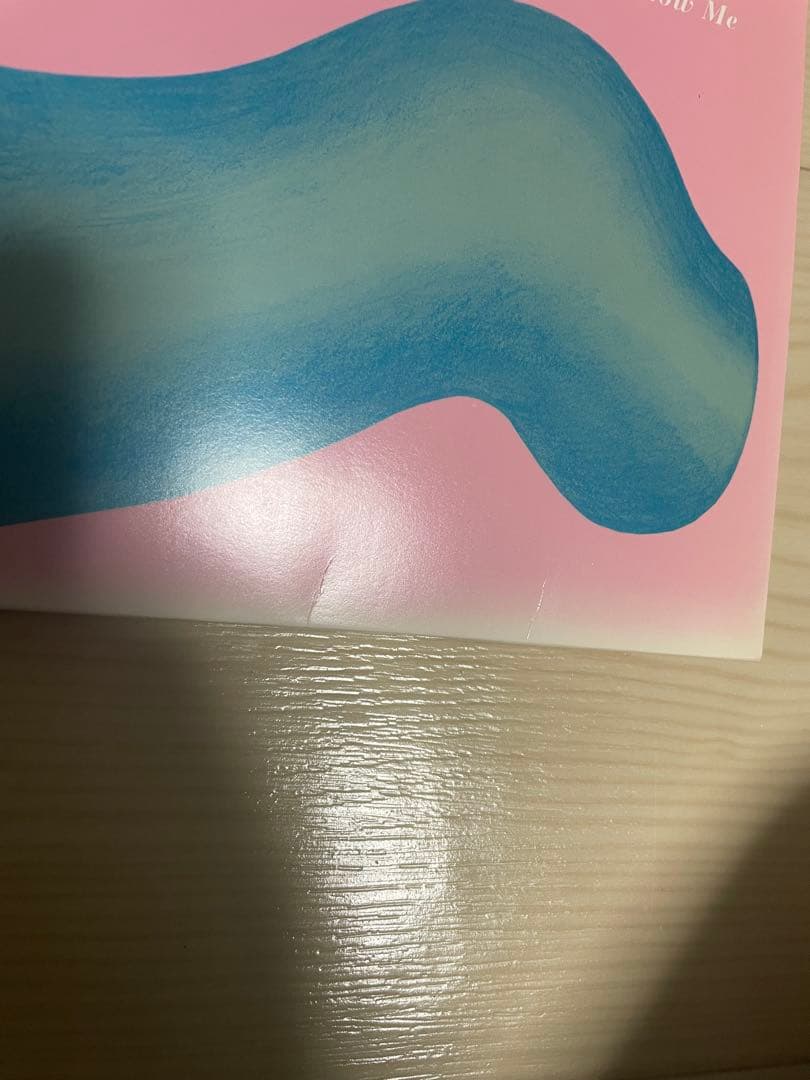 白*之様 ゆらゆら帝国　空洞です LP　アナログ盤　レコード