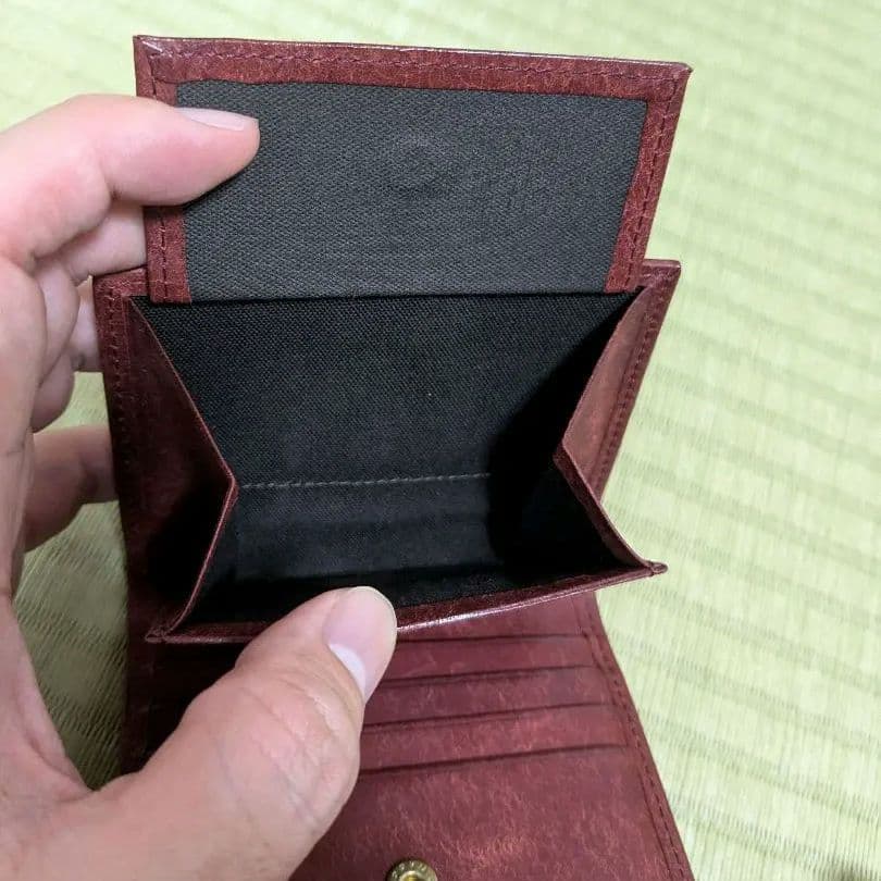 あいうえお レンマ マリスコ コッチネーラ プエブロ lemma