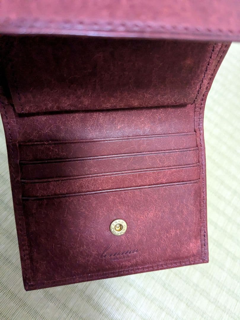 あいうえお レンマ マリスコ コッチネーラ プエブロ lemma