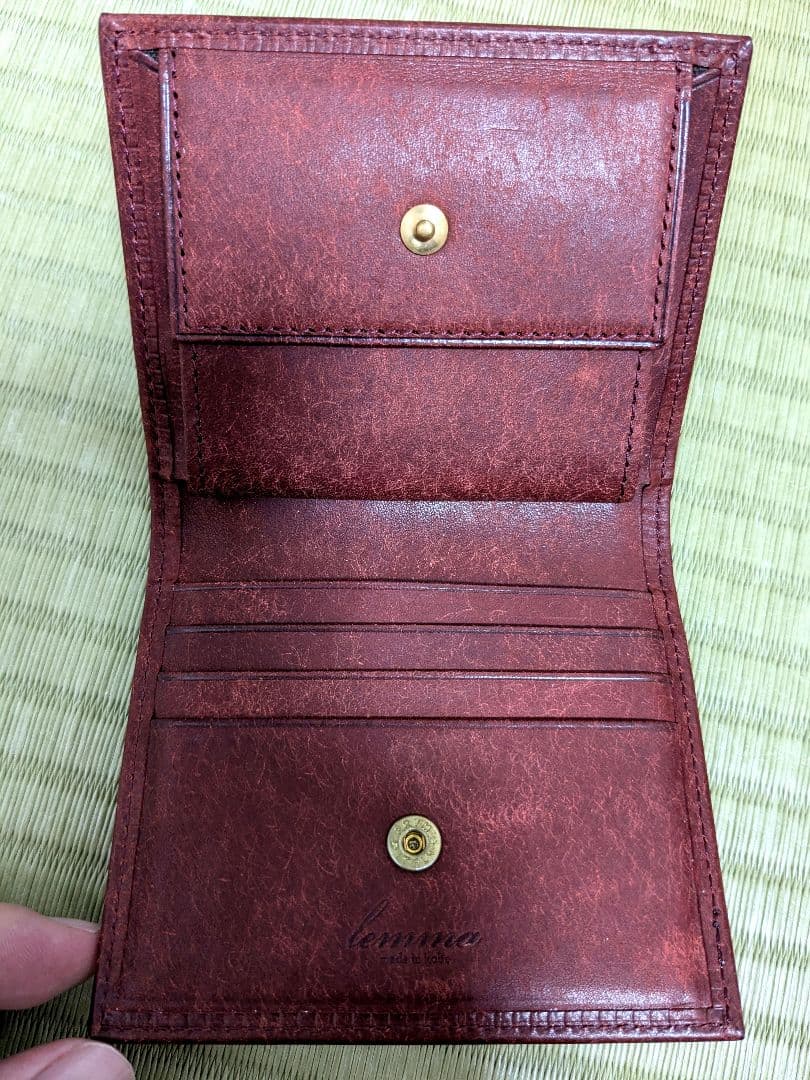 あいうえお レンマ マリスコ コッチネーラ プエブロ lemma