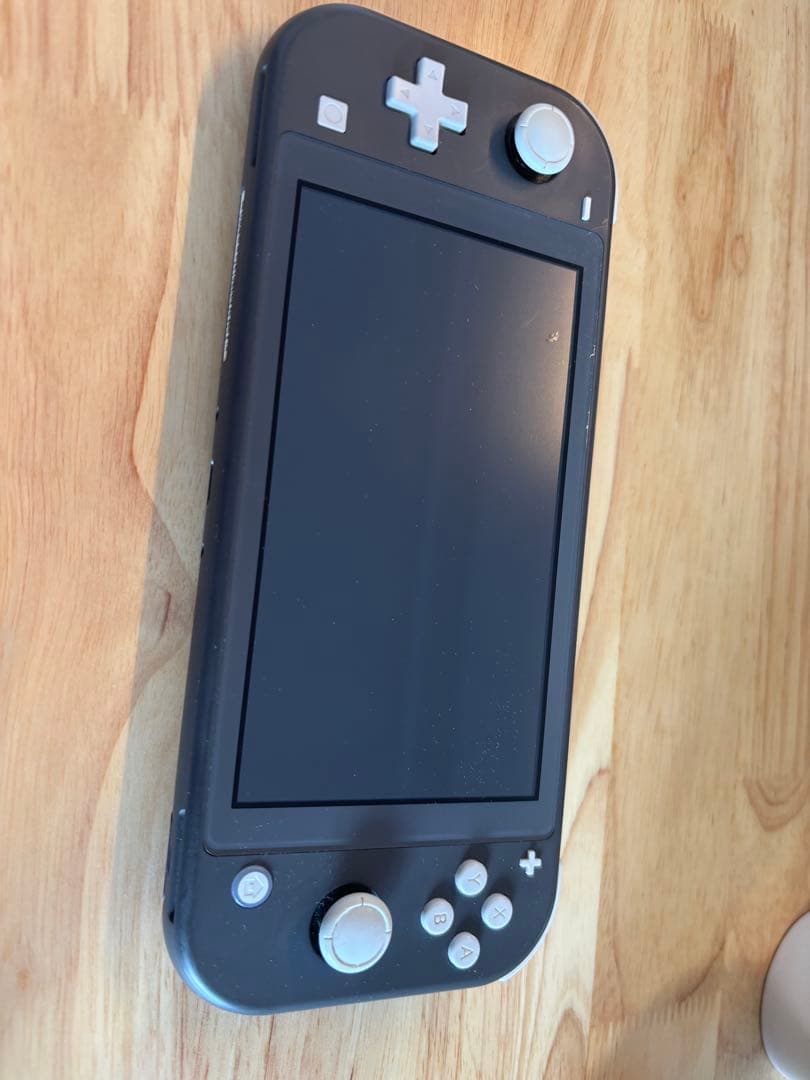 Nintendo Switch Lite 本体 ジャンク品　microSD付き