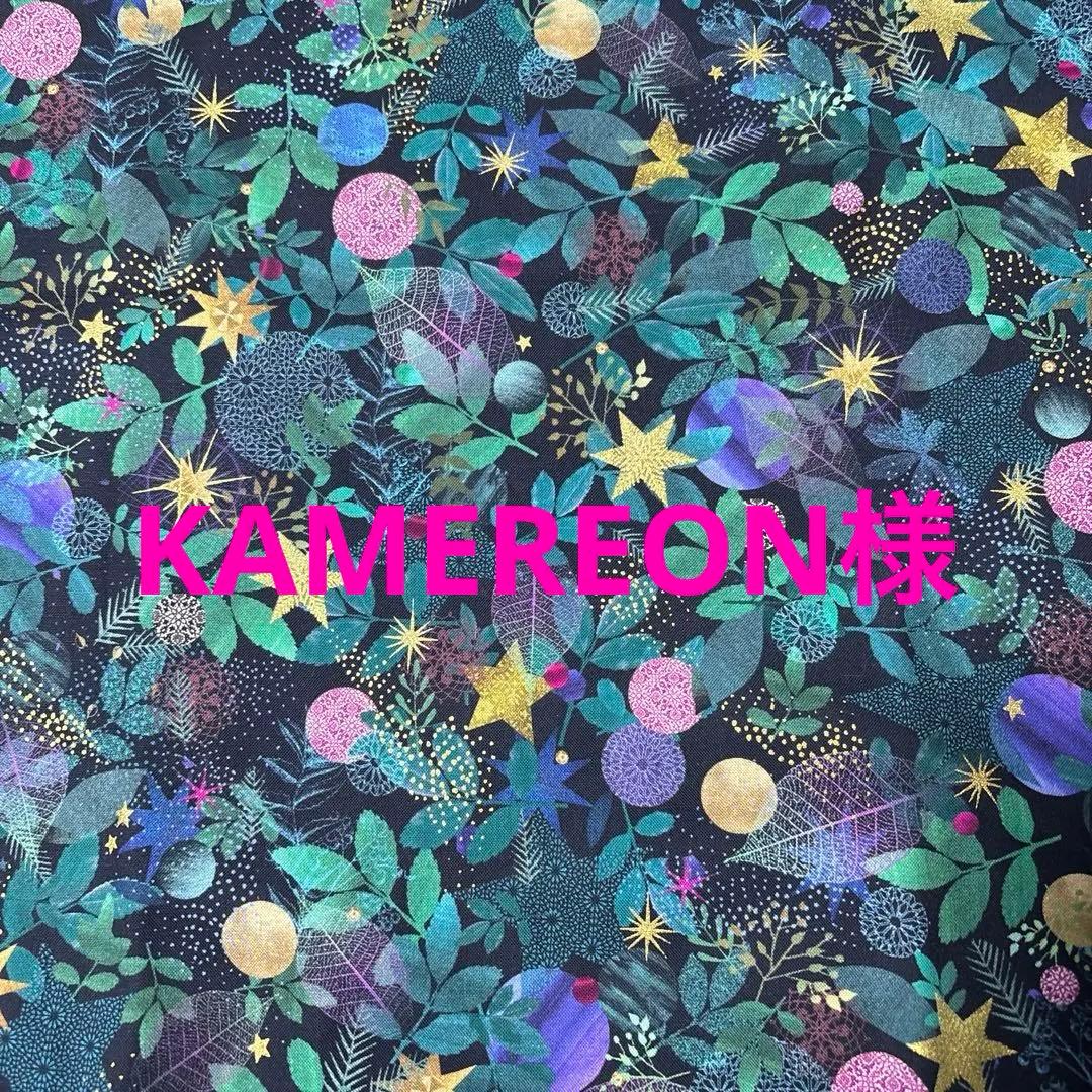 【KAMEREONページです】