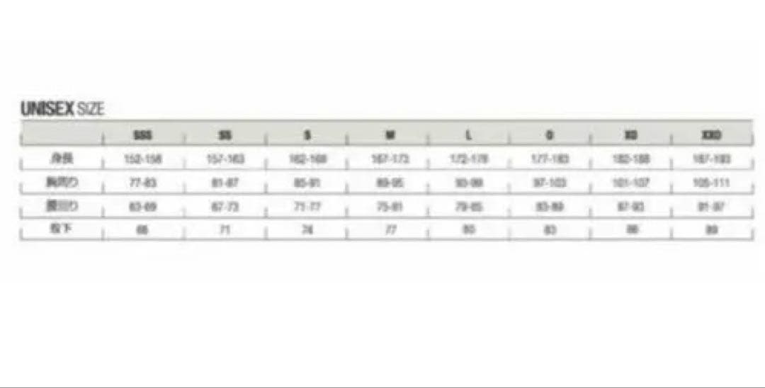 【ほぼ￼新品】デサントスキー競技用インナーパッドDWUWJK68ブラックLサイズ