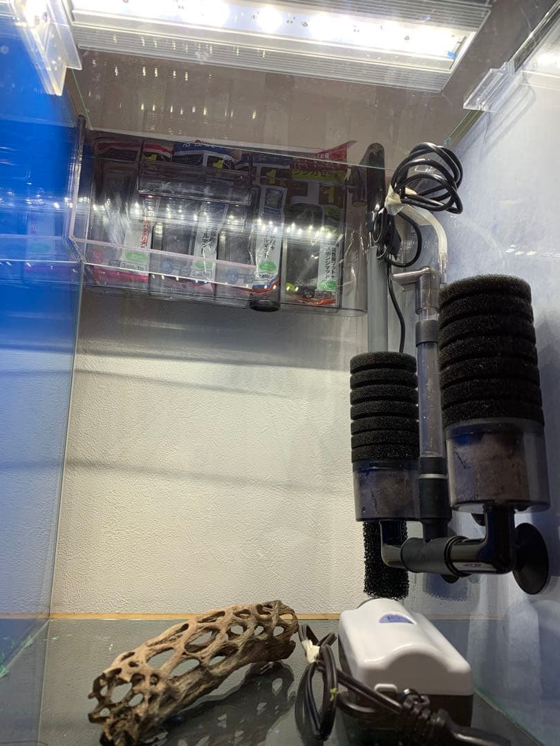 【引き取り限定】ガラス水槽フルセット　アクアリウム　最強シュリンプ水槽