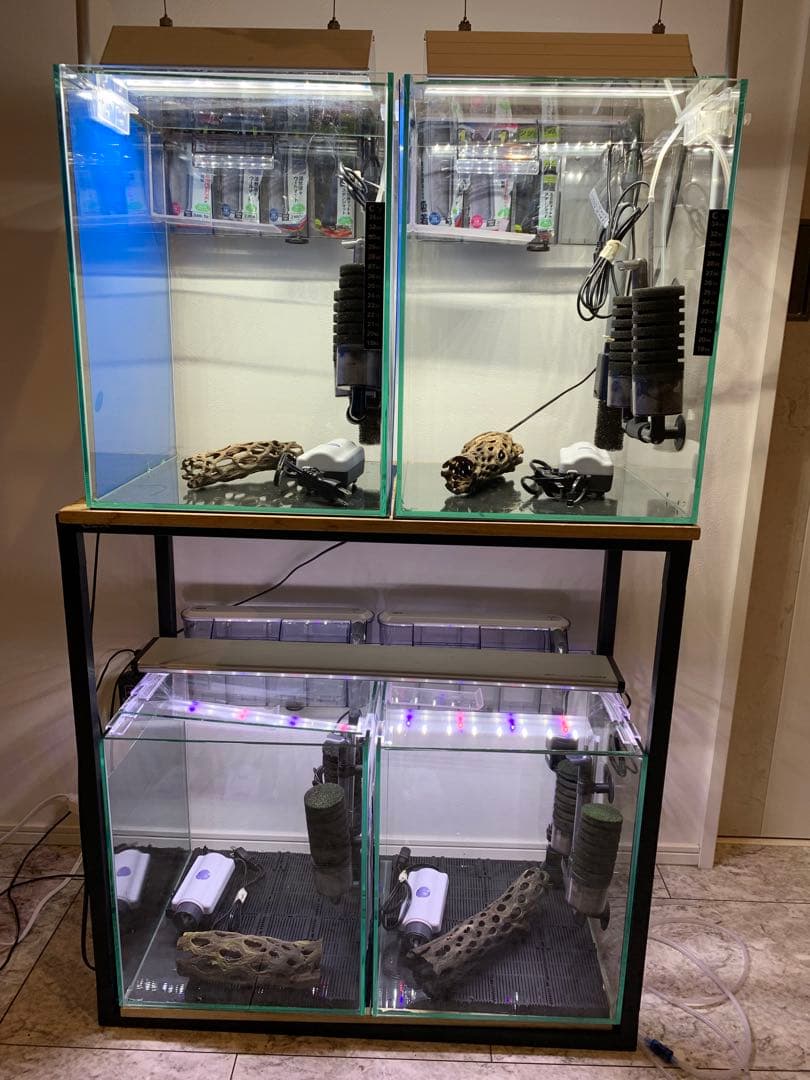 【引き取り限定】ガラス水槽フルセット　アクアリウム　最強シュリンプ水槽