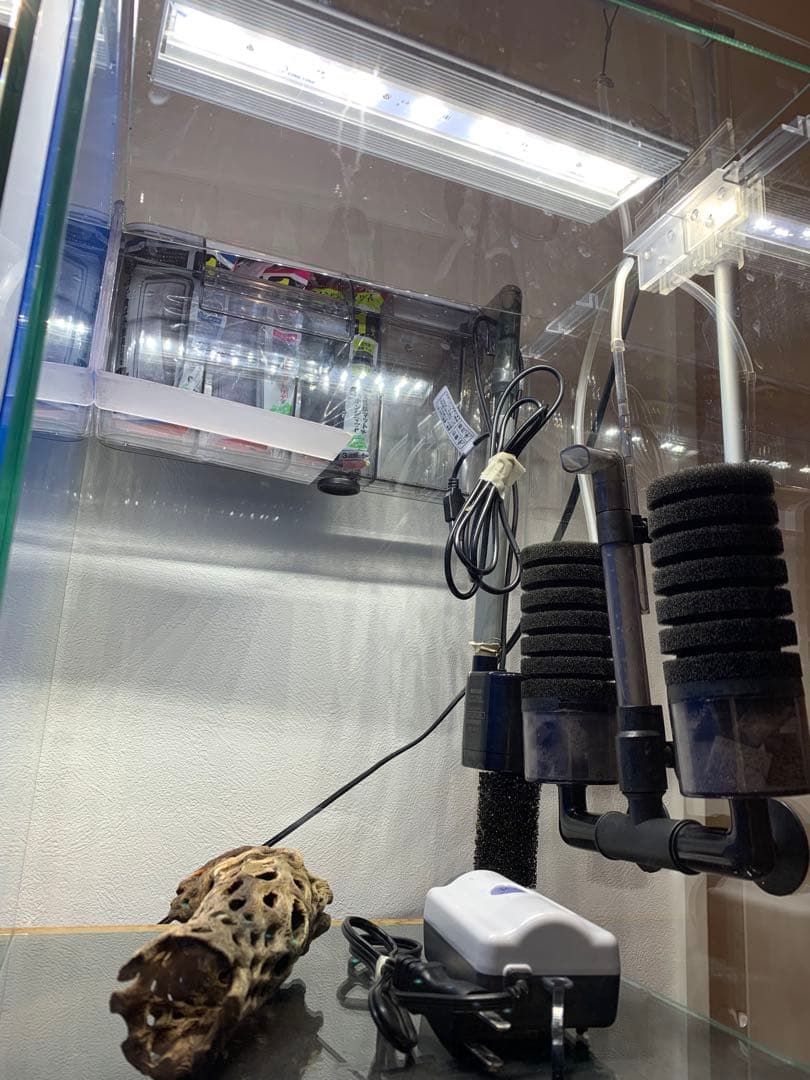 【引き取り限定】ガラス水槽フルセット　アクアリウム　最強シュリンプ水槽