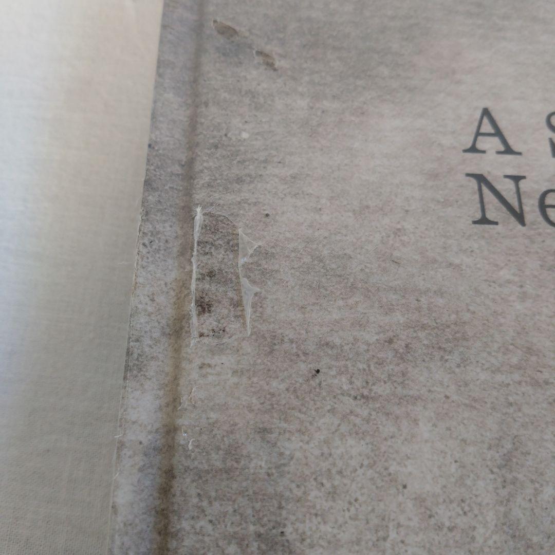 MOMADegasAStrangeNewBeautyエドガードガアート絵画洋書