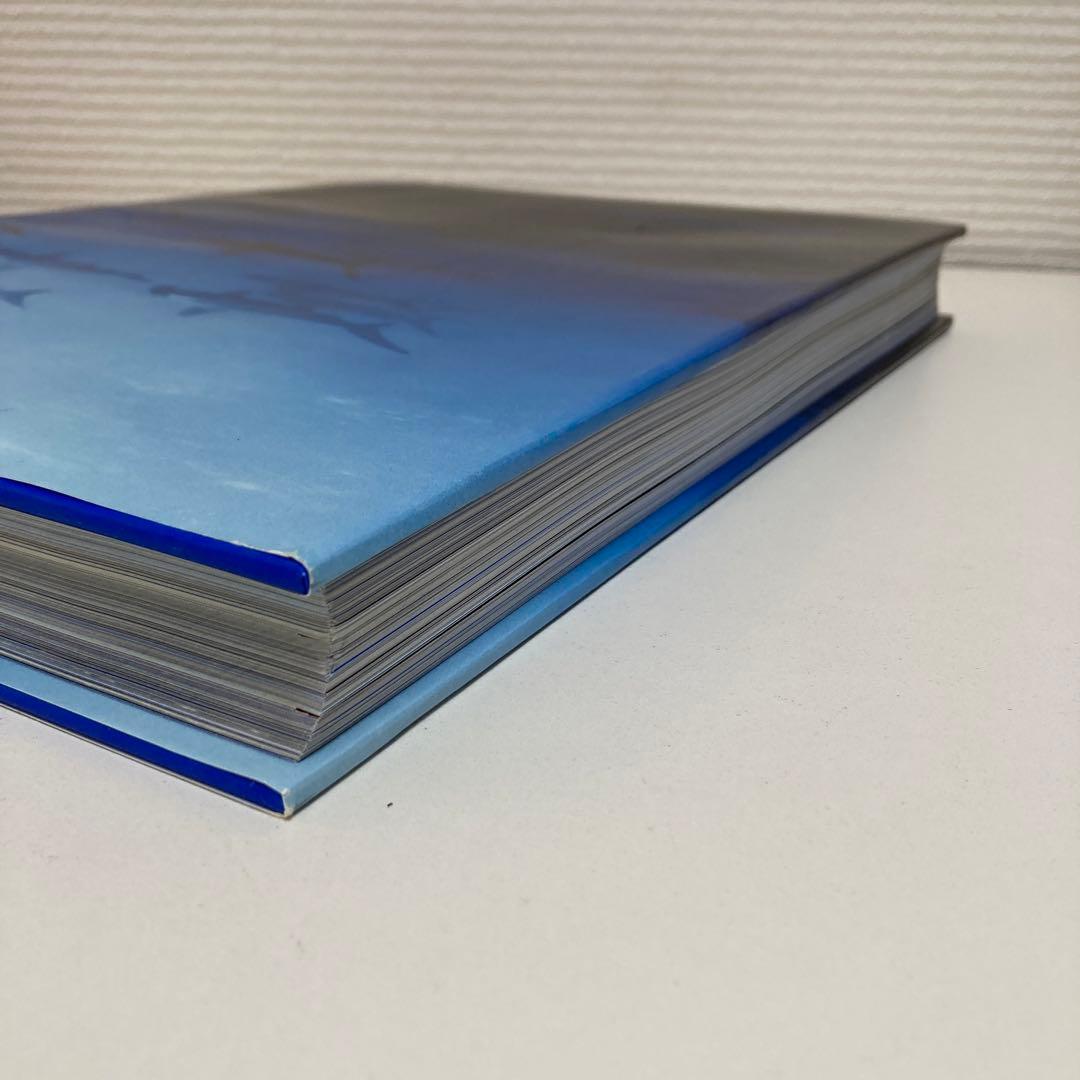 Michael Muller SHARKS TASCHEN 大型本