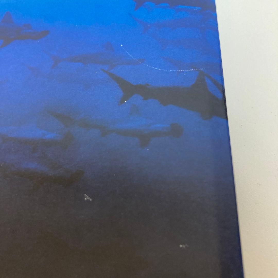 Michael Muller SHARKS TASCHEN 大型本