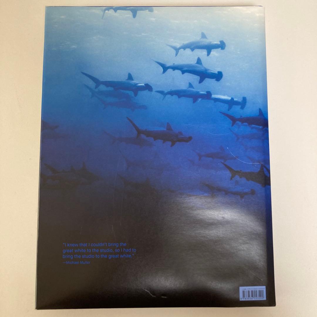 Michael Muller SHARKS TASCHEN 大型本