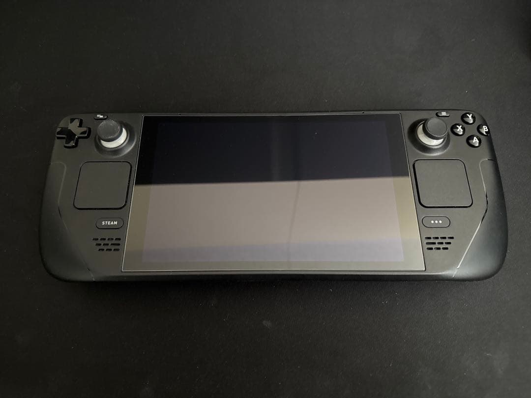 その他 Steam Deck 64GB + sandisk extreme 512gb