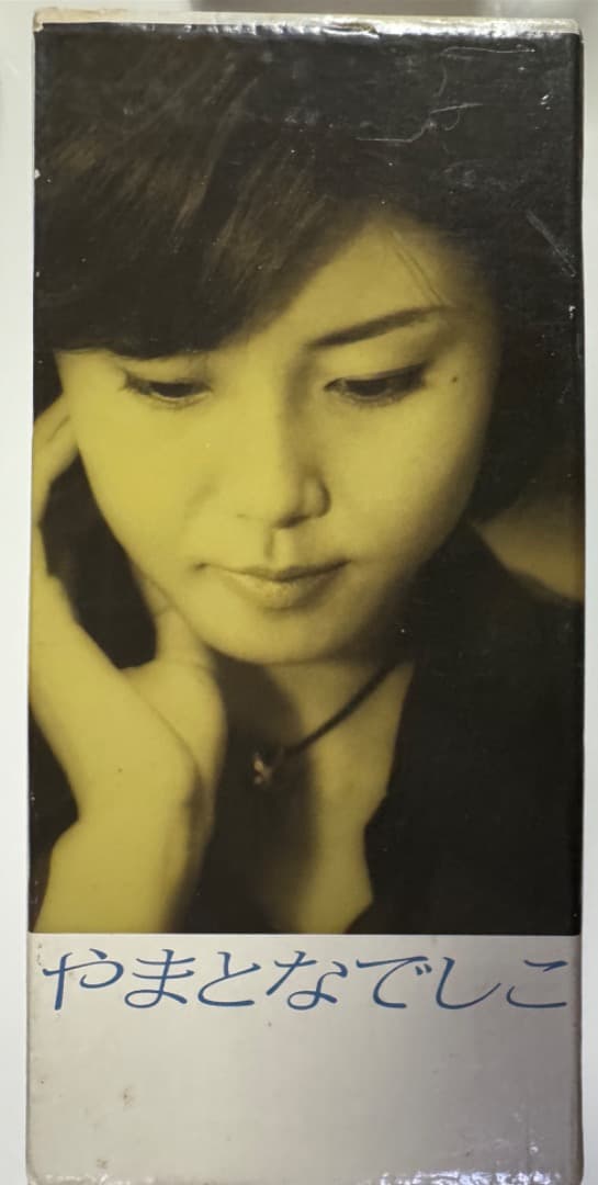 やまとなでしこ[DVD]　DVD-BOX