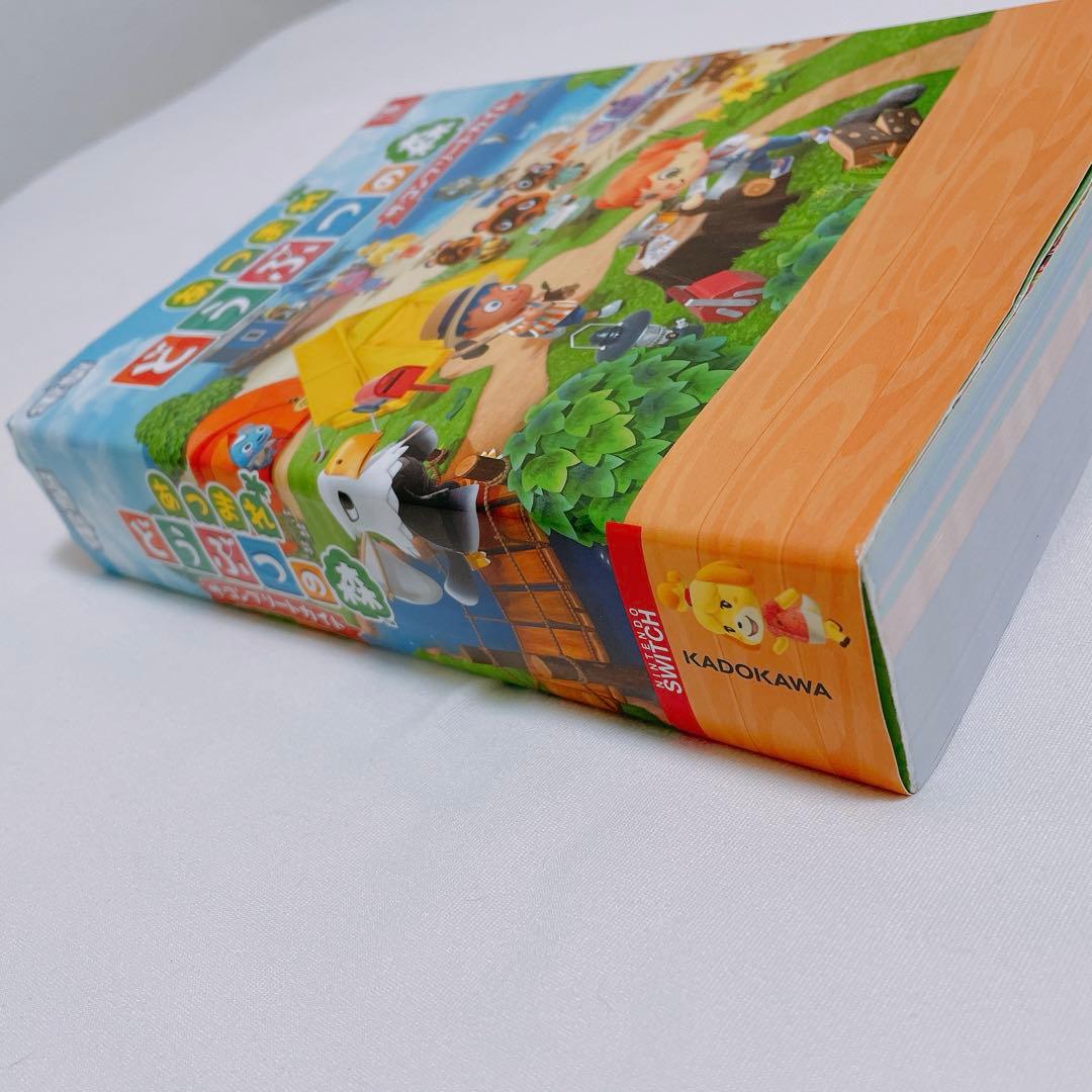 あつまれどうぶつの森セット