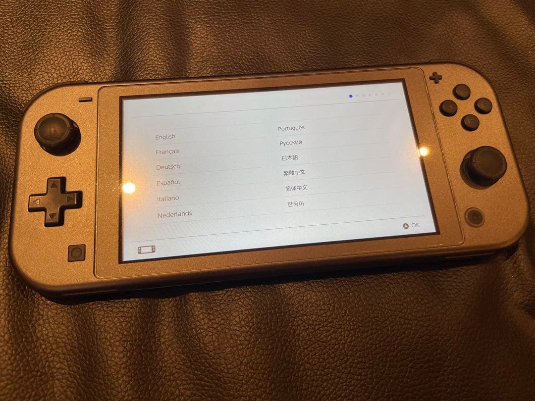 Nintendo Switch Lite 本体　パルキア　ディアルガ　ポケモン