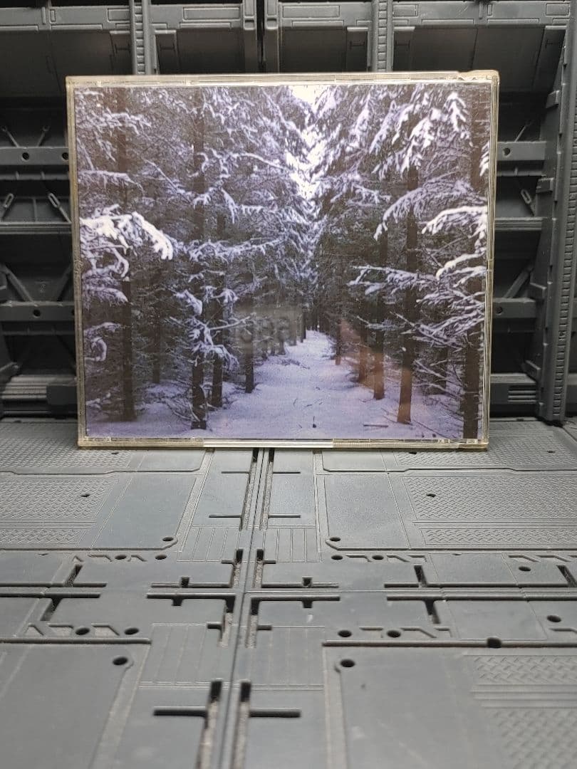 the choir of vengeance ブラックメタルblackl