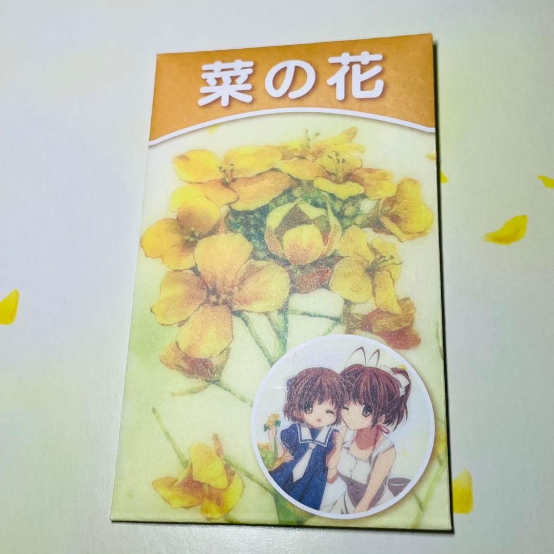 CLANNAD AFTER STORY クラナド DVD 全巻セット