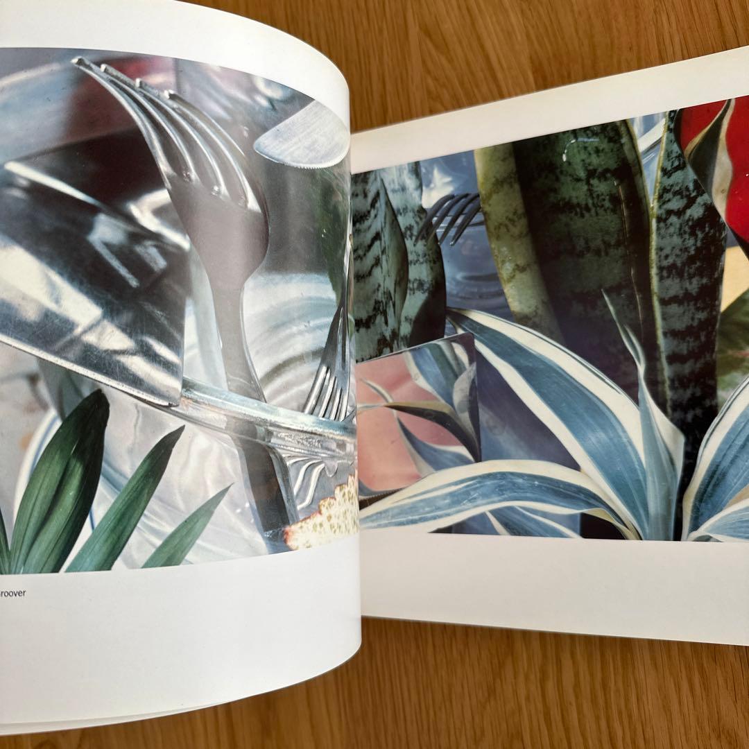 アート・デザイン・音楽 the new color photography