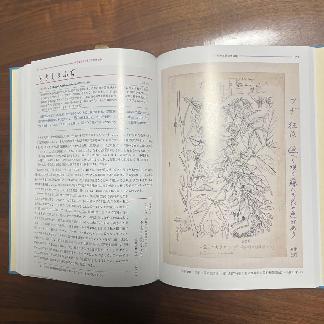 牧野万葉植物図鑑