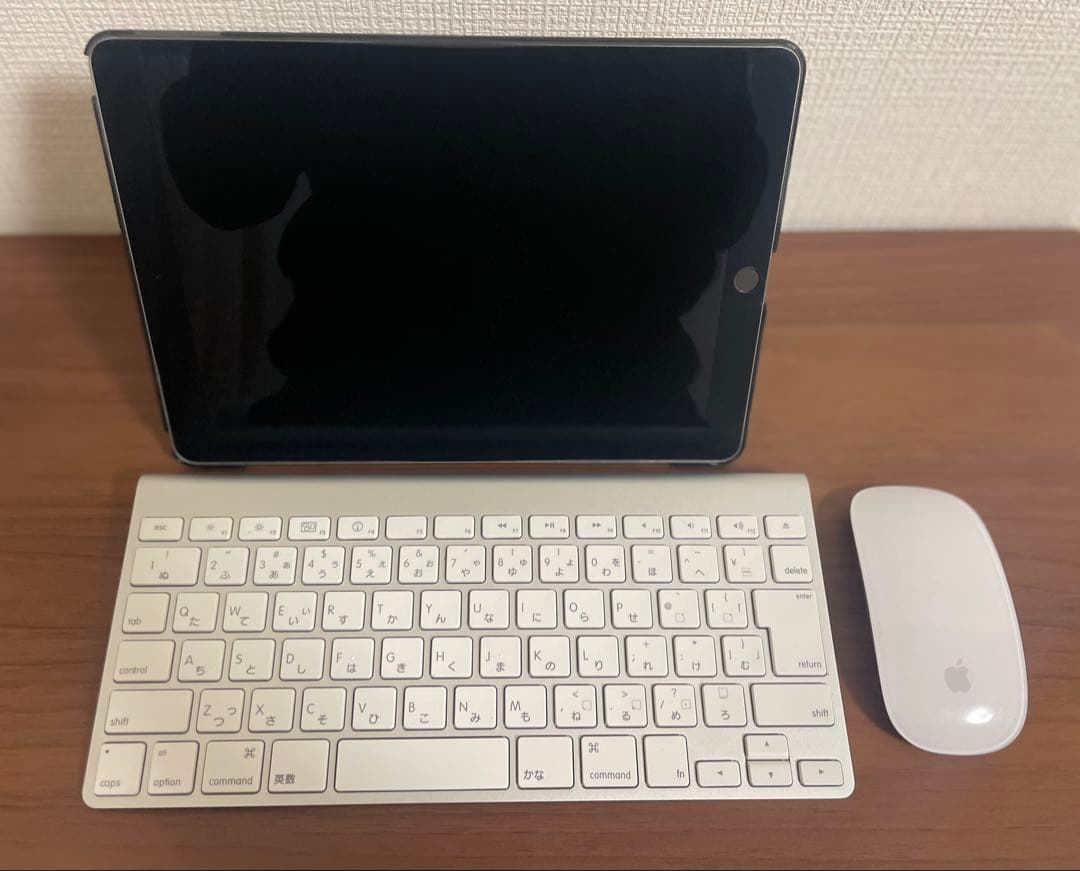 Z*4様 iPad Pro 10.5 512GB + キーボード・マウス　SIM