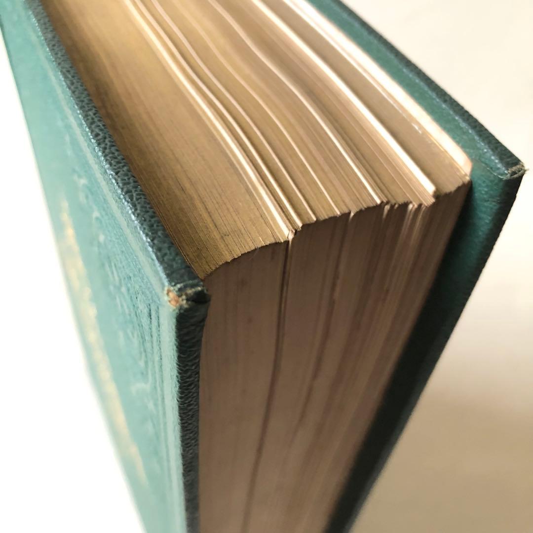 1869年！ 超希少　手彩色160枚　サワビーの英国植物図鑑ＩＸ　アンティーク