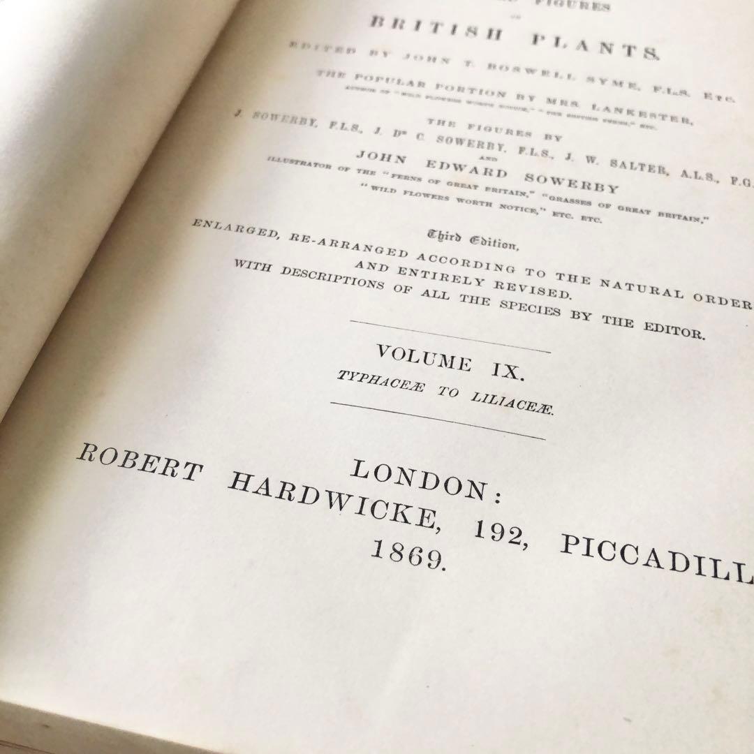 1869年！ 超希少　手彩色160枚　サワビーの英国植物図鑑ＩＸ　アンティーク