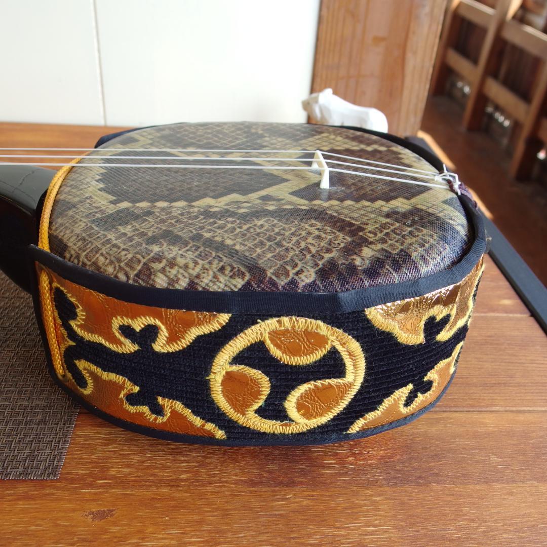 沖縄三線　ケース付き(インナー有り　替え弦多数