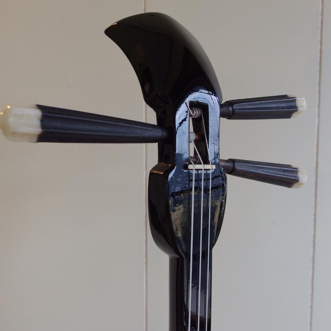 沖縄三線　ケース付き(インナー有り　替え弦多数