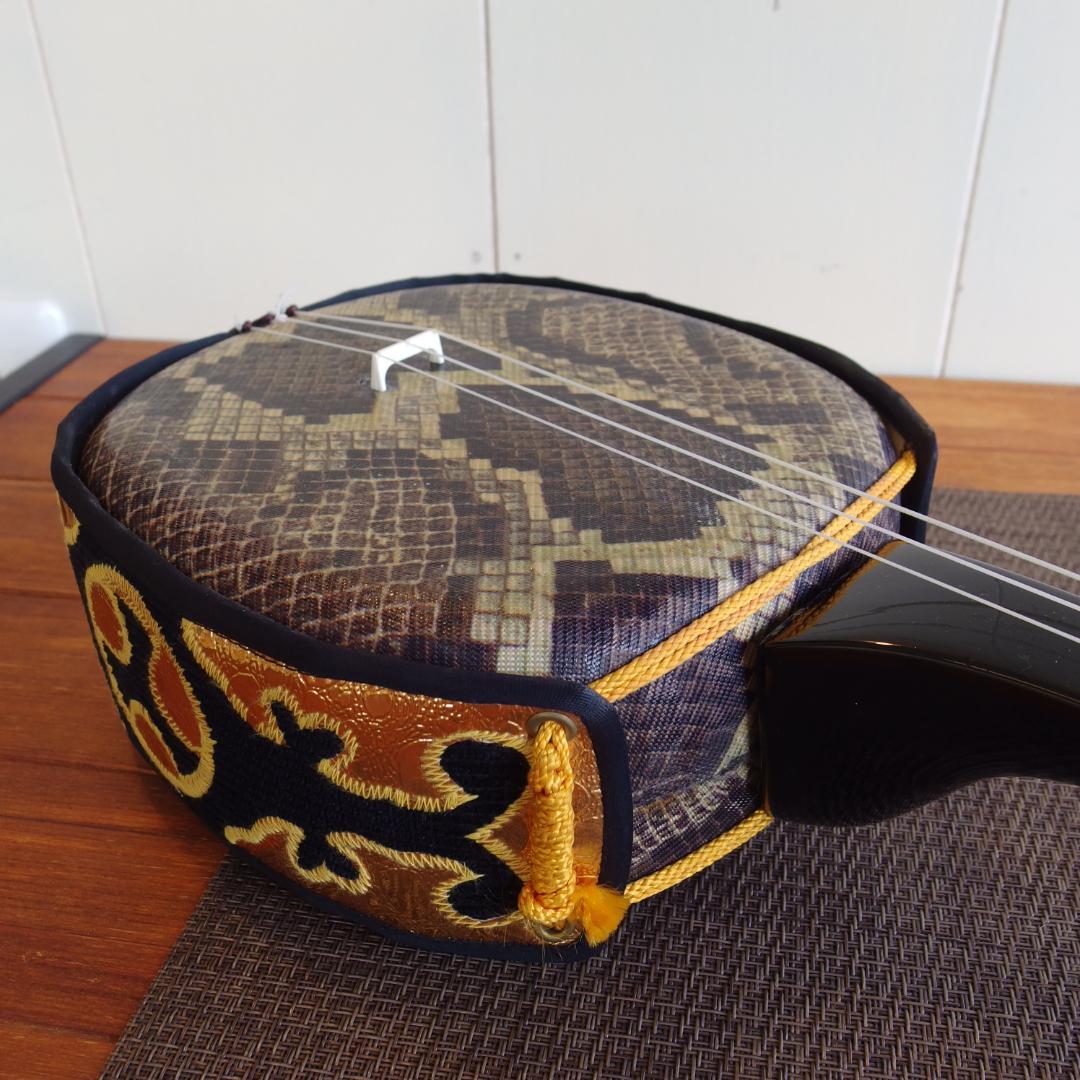 沖縄三線　ケース付き(インナー有り　替え弦多数