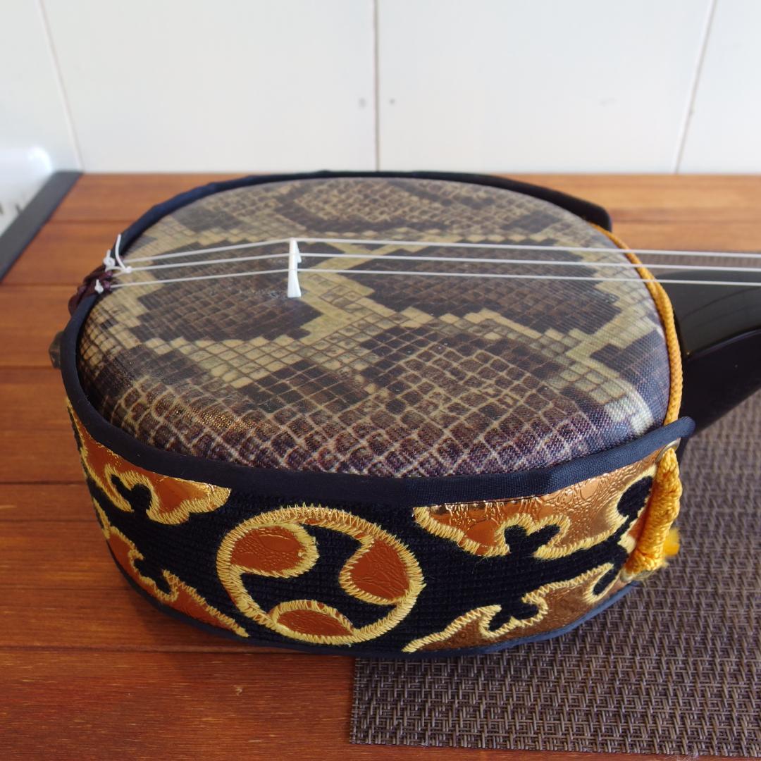 沖縄三線　ケース付き(インナー有り　替え弦多数