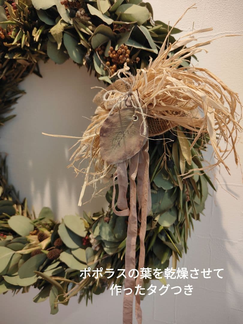 特大リース 50cm オリーブ ポポラス ドライフラワー 木の実 リース