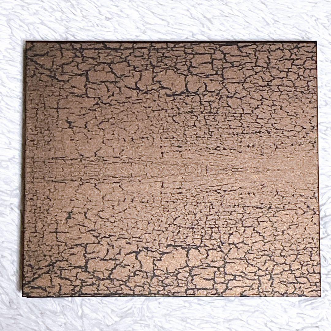 美品　完全受注生産　真・八重流（FC限定）盤 和楽器バンド　IVSI