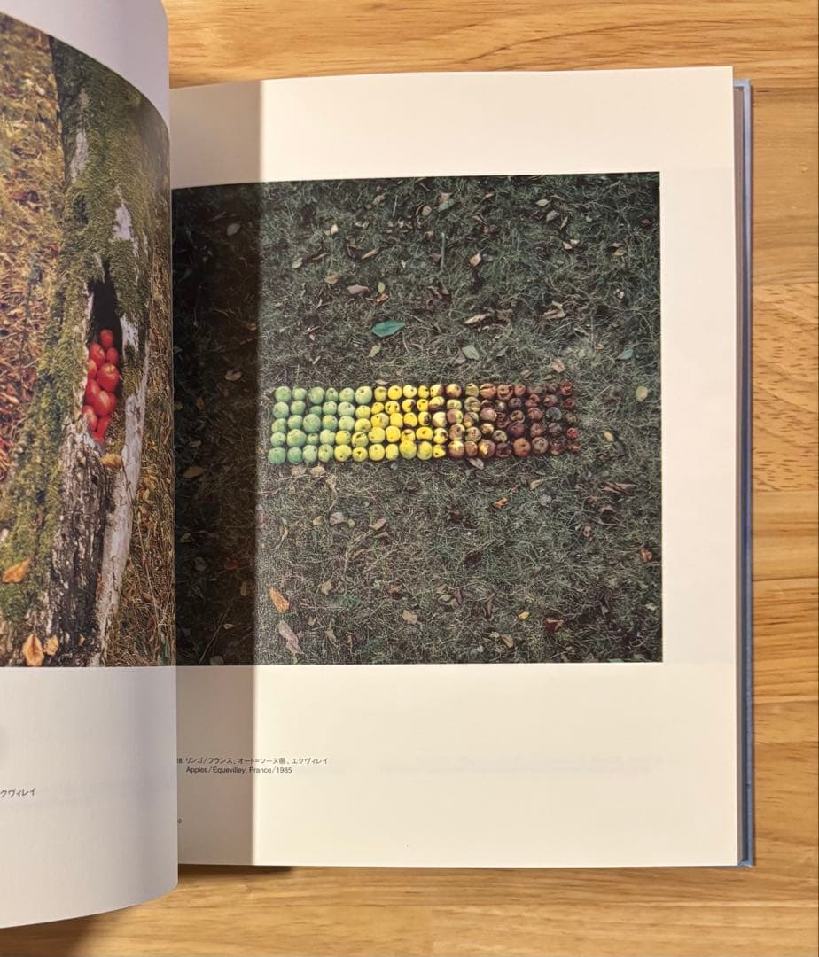 ニルス=ウド 自然へ NILS-UDO Towards Nature