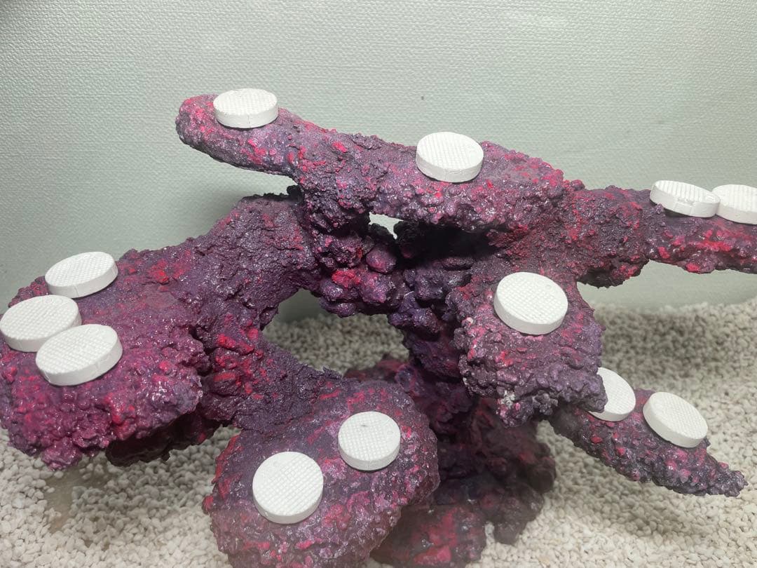 【送料無料】人工ライブロック　PHR20／12穴加工　アク抜き済み安心塗料使用