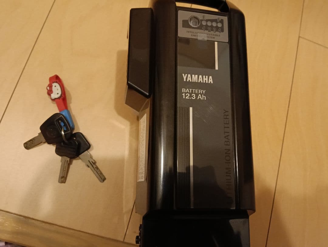 電動アシスト自転車 チャイルドシート付き