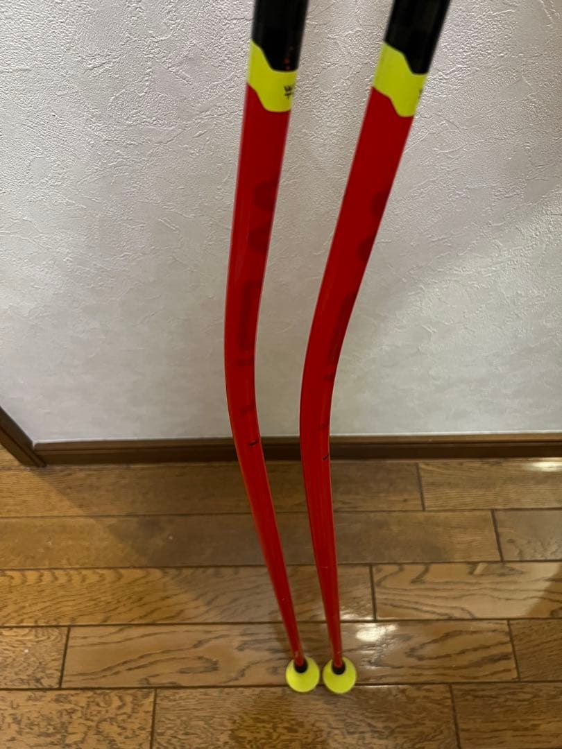 スキー LEKI WCR TBS GS 3D 120cm