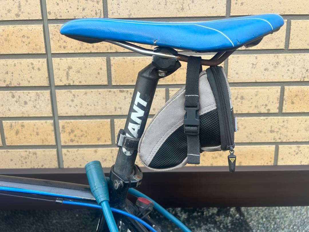 GIANT IDIOM　ミニベロ 自転車 本体 黒・青